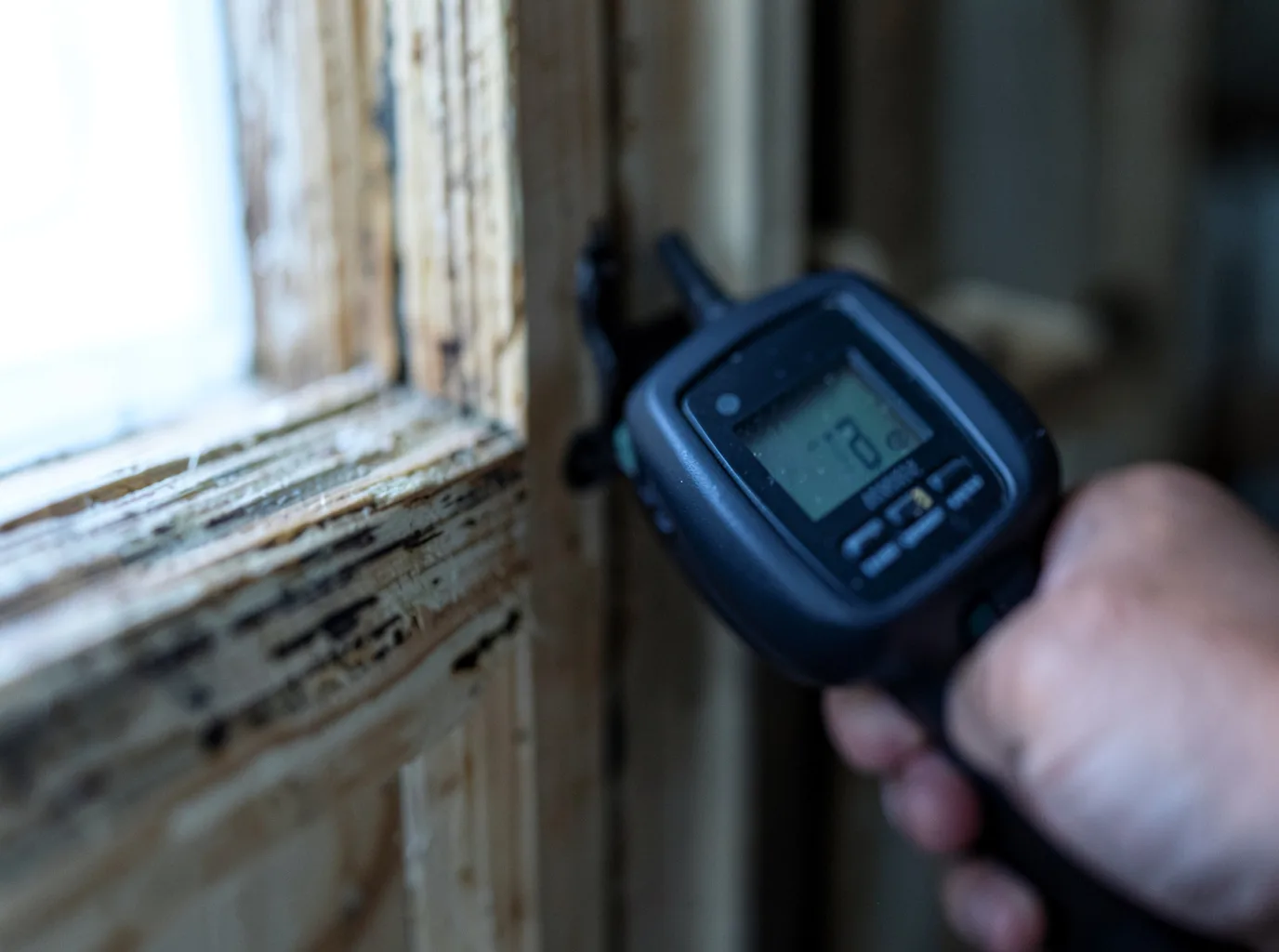 Moisture Inspection And Documentation in Corwith, IA